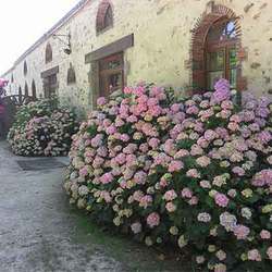 Gîte la Longère